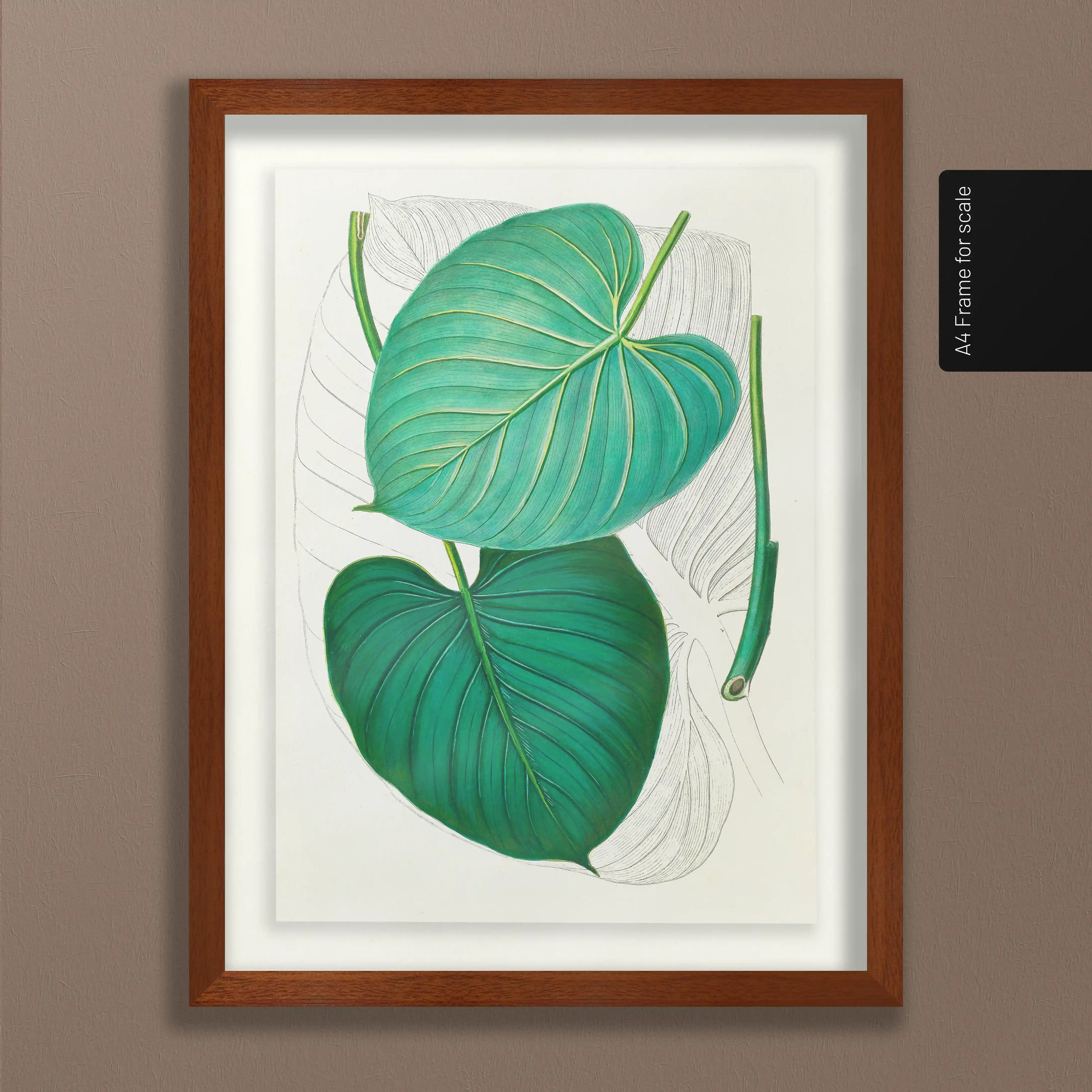 Plant Studies: Plate No. 03