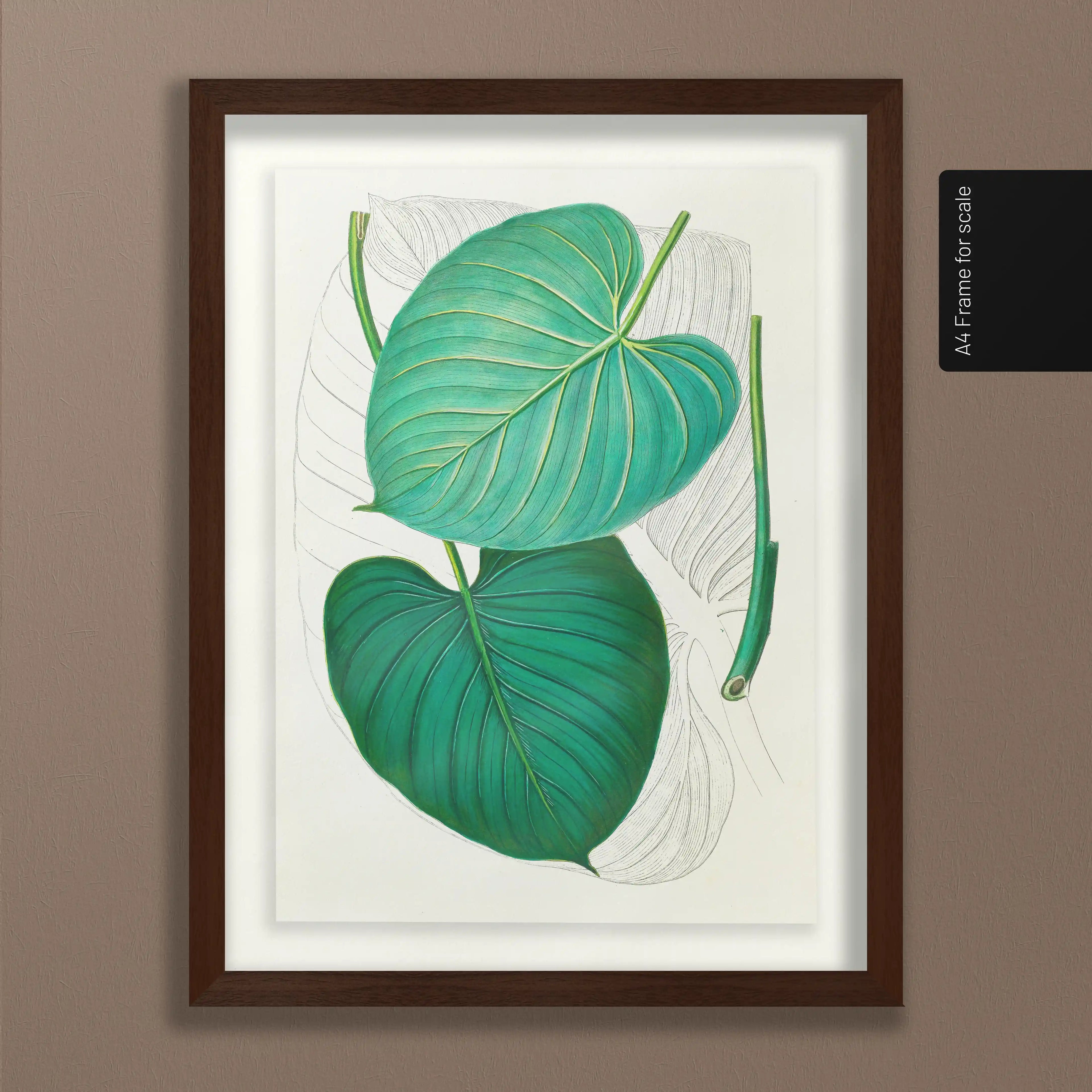 Plant Studies: Plate No. 03