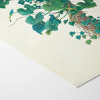 Plant Studies: Plate No. 05