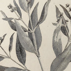 Plant Studies: Plate No. 28