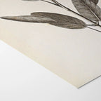 Plant Studies: Plate No. 34