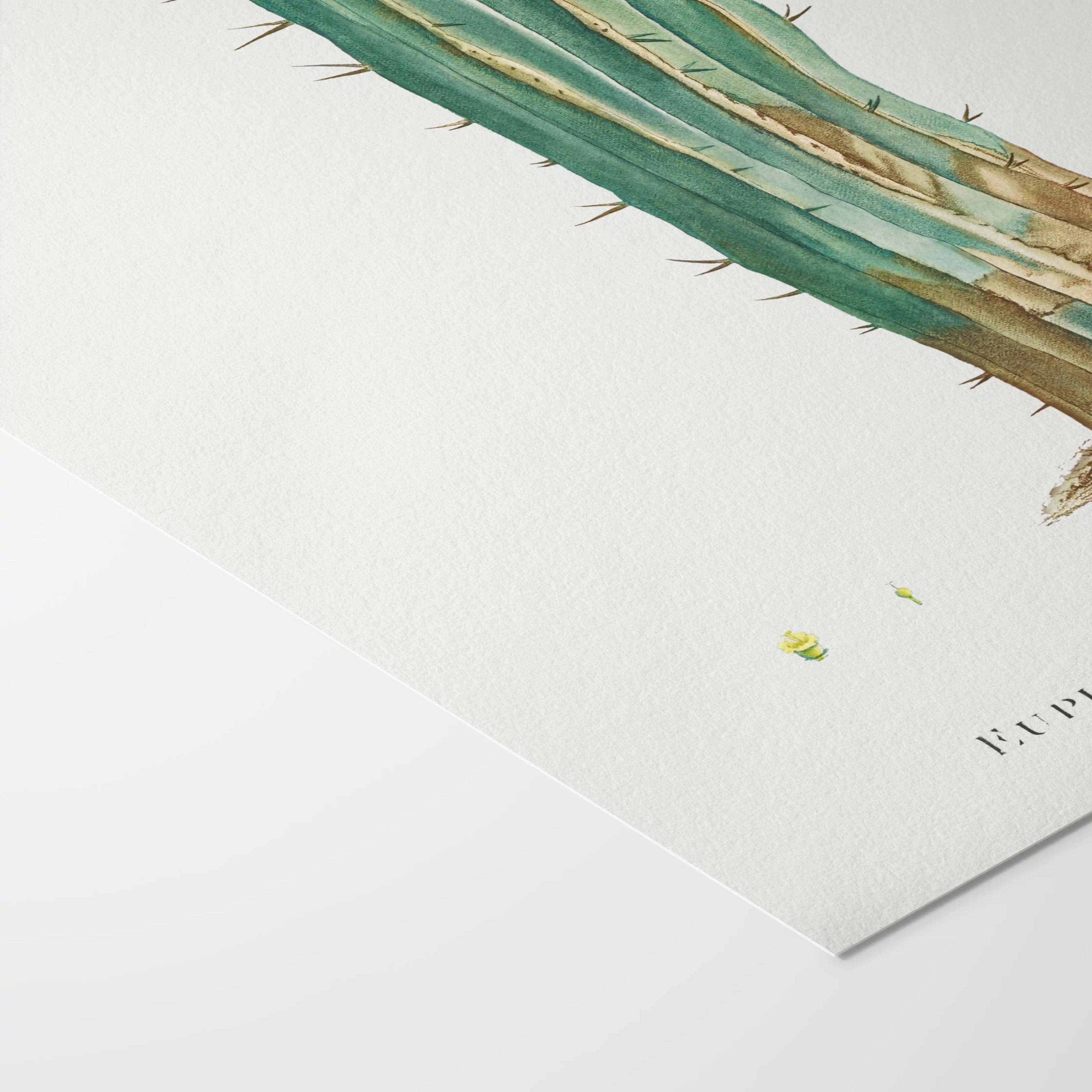 Plant Studies: Plate No. 45