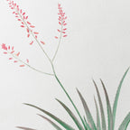 Plant Studies: Plate No. 50