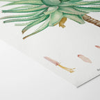 Plant Studies: Plate No. 55